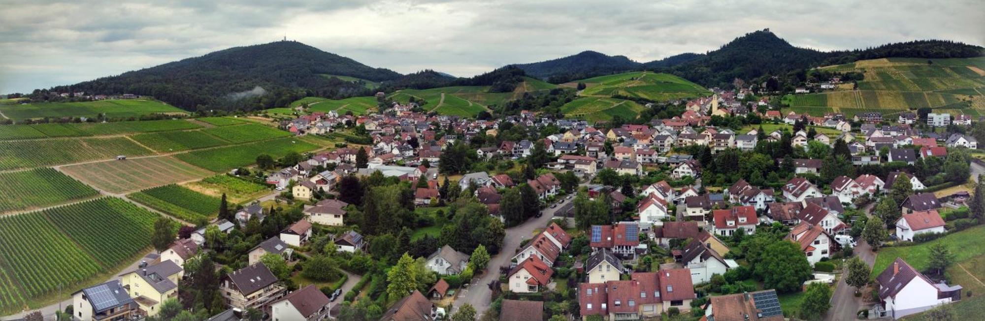 Ferienwohnung Herrnberg Baden-Baden Bagian luar foto