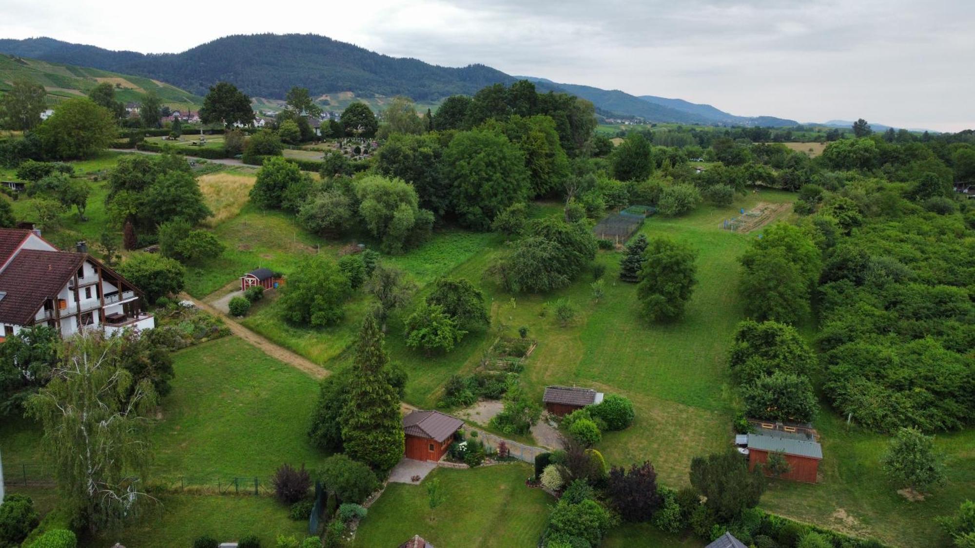 Ferienwohnung Herrnberg Baden-Baden Bagian luar foto